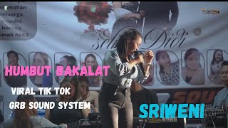 HUMBUT BAKALAT~SRIWENI COVER~SELI & DIDI WEDDING PARTY PALANGKARAYA CITY