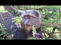 Tarangire Und Lake Manyara Der Weg Zur Serengeti