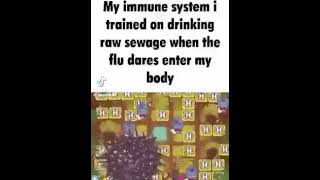 immune system vs ðe flu