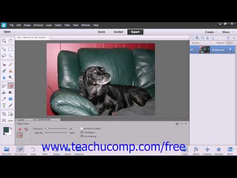 Photoshop Elements 12 Tutorial The Magic Eraser Tool Adobe Training Lesson 6.8
