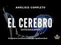 EL CEREBRO (Ideas y Conceptos con Enfoque Disruptivo para Expandir Tu Mente) - Análisis Libros