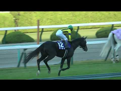 2021 第46回エリザベス女王杯GⅠ本馬場入場 現地映像 アカイイト 幸騎手が大波乱を演出!!