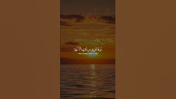 القارئ: عبد الرحمن مسعد #ارح_سمعك #اكسبلور #لايك #حالات_واتس