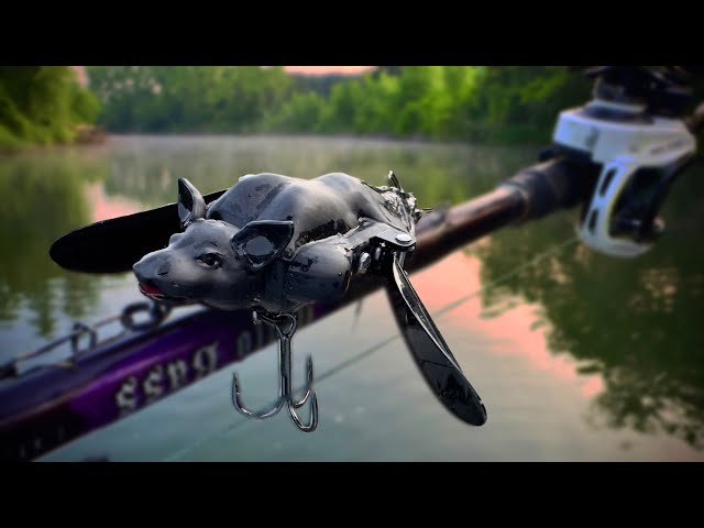 Fishing a BAT LURE in a river full of MONSTERS! 