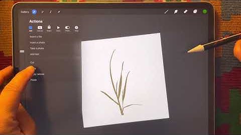 How to copy, cut and paste with Procreate