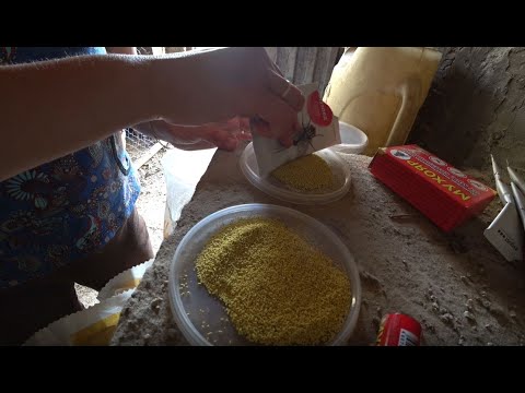 Как бороться с мухами в хозяйственных помещениях?