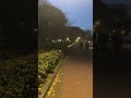 Ueno  Park এ একদিন সন্ধ্যায়
