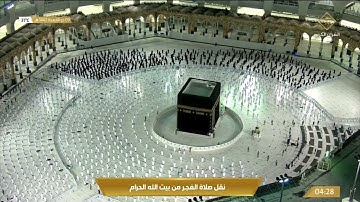 فجرية تأسر القلوب بالكرد البديع من سورة هود| السبت 9 ذو القعدة 1442هـ| للشيخ د. ماهر المعيقلي
