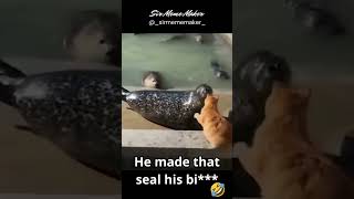 He runs this streets 😅 #memes #comedy #humor #shortsviral #shortsyoutube #trending #funnymemes #cat