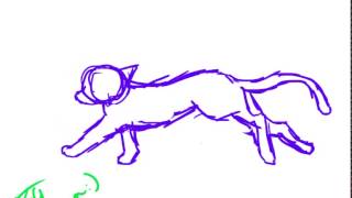 Cat Run Cycle Practice Anmation