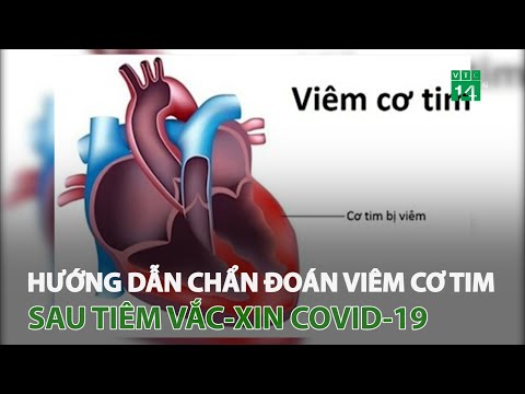 Hướng dẫn chẩn đoán viêm cơ tim sau tiêm vắc-xin phòng Covid-19 | VTC14