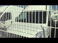 Цены на новые и подержанные  бусы в Германии