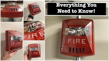 Wheelock Exceder! Test and Review!