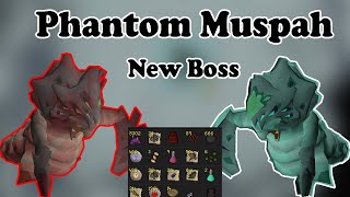 Killing The New Osrs Boss - Killing Phantom Muspah With Budget Setup