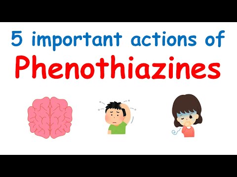 5 types of actions of Phenothiazines