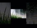 natural Rai sound 😍 #naturelovers #nature #rain #viral