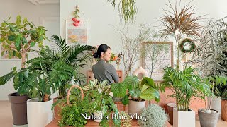 7 Indoor Plants that are easy to grow but pretty🌱 | Relaxing Plant Tour My houseplant collection