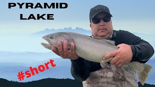 Pyramid Lake, Nevada | EPIC weekend, and lots of fun. Home of the LAHONTAN Trout | short ??