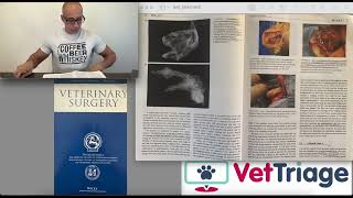 A musculomucosal axial pattern flap of the upper and lower lips helped heal chronic oral cat wounds