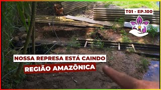 Nossa REPRESA está caindo - CHÁCARA NA REGIÃO AMAZÔNICA (T01-E100)