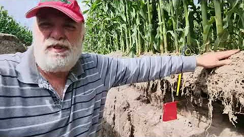 Atider maz alto rendimiento, compactacin de suelos...