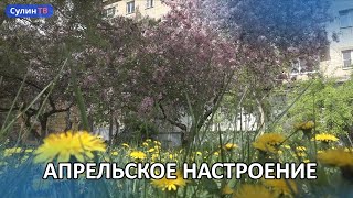 Апрельское настроение