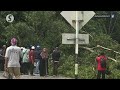 Man dies after tree falls on his car in Seremban