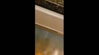 1000 E 53rd St #101 - Dishwasher Video