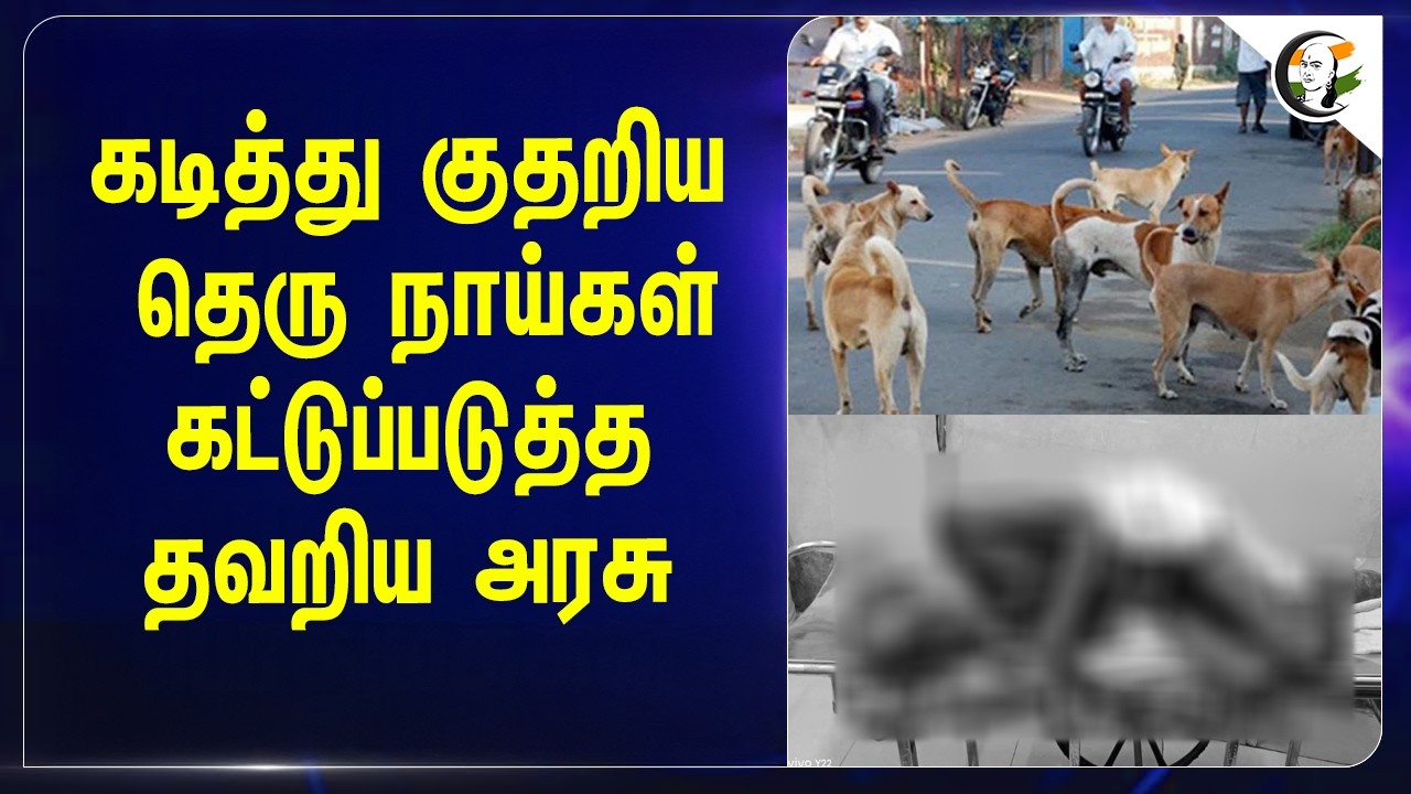 ⁣கடித்து குதறிய தெரு நாய்கள்...கட்டுப்படுத்த தவறிய அரசு | Tanjore
