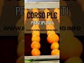 Scopri Come Progettare Sistemi PLC con Strategie Smart