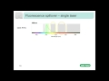 Fluorescence and Compensation in Flow Cytometry