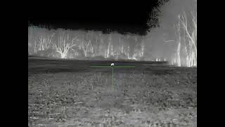 Mars mt1000lrf Thermal Amazing clarity!