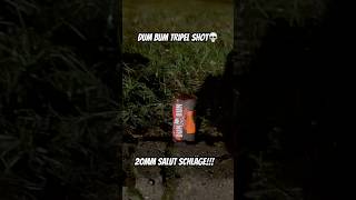 Heftige Salut Schläge!! #dumbum #shortvideo #fireworks #pyrotechnica #pyro #feuerwerk #silvester