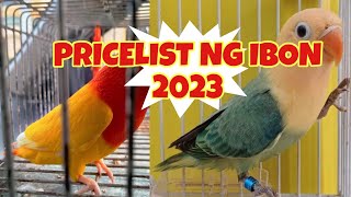 Pricelist Ng Ibon 2023 | Kung Pwede Lang Sana! | African Lovebirds