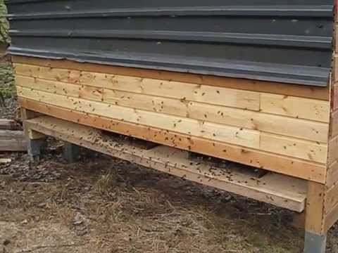 Mein Bienen Haus 2013 - YouTube