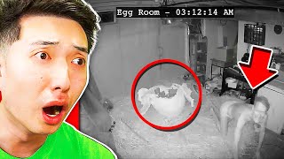 Do NOT Order a MYSTERY EGG Off The DARK WEB..