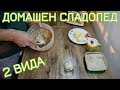 ДОМАШЕН СЛАДОЛЕД - 2 ВИДА С ЕДНА ОСНОВА