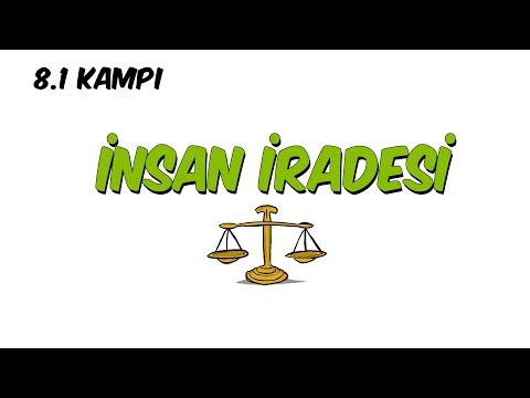 Insan Iradesi | 8.1 Kampi - Insan Iradesi | 8.1 Kampi
