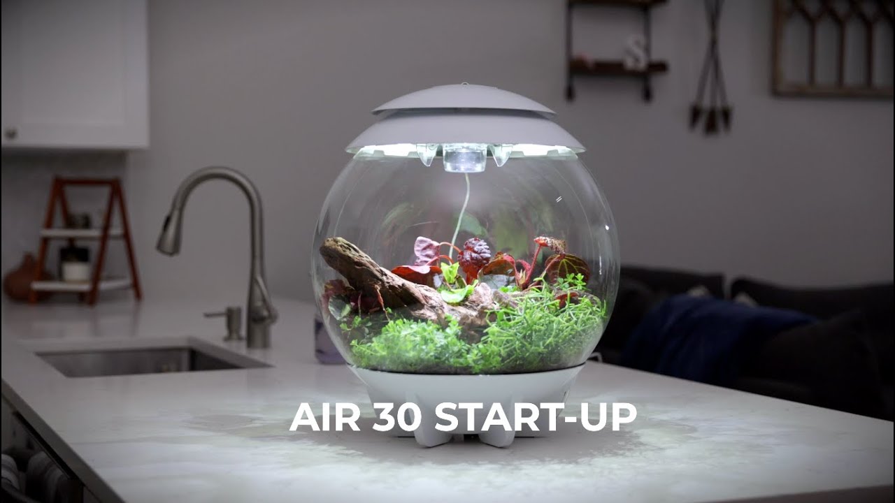 biOrb AIR 30L 水槽 Amazon.com : biOrb AIR 30, Automated Acrylic Terrarium for