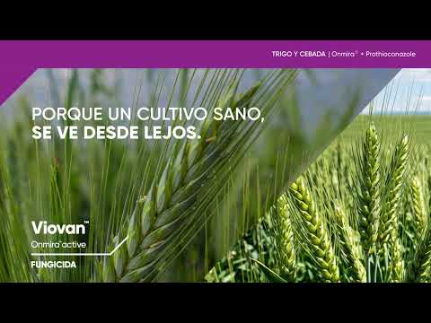 Maximizá el potencial de tu cultivo con el nuevo fungicida Viovan®.