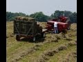Baling Hay with Farmall Super M & 276 Hayliner New Holland