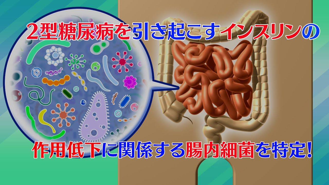値下げ！【在庫希少】ジョスリン糖尿病学 第2版 心許なかっ