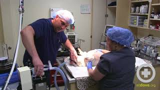Moving an Anesthetized Veterinary Patient