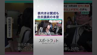 Opposition Grows to Consumption Tax Cut Amid Funding and Pledge Hurdles: Spotlight Investigation Probes LDP Views via Independent Survey