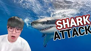 바닷속 상어를 피해라! 생존게임?공포게임? - 샤크 어택 데스매치 (Shark Attack Deathmatch2) screenshot 1