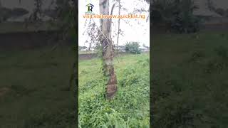 #quicklist.ng #forallyourpropertyneeds