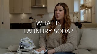 How to Use Powdered Laundry Detergent Wealth