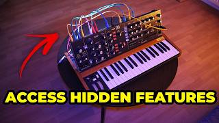 Celebrity The Rear Connections Explained - Poly D Tutorial Wealth