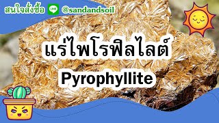 แร่ไพโรฟิลไลต์ (Pyrophyllite)