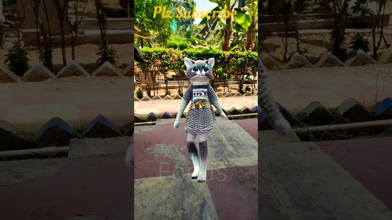 Little Cat Cartoon Dance 🐭 